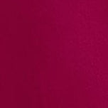 Fuchsia Color Swatch 