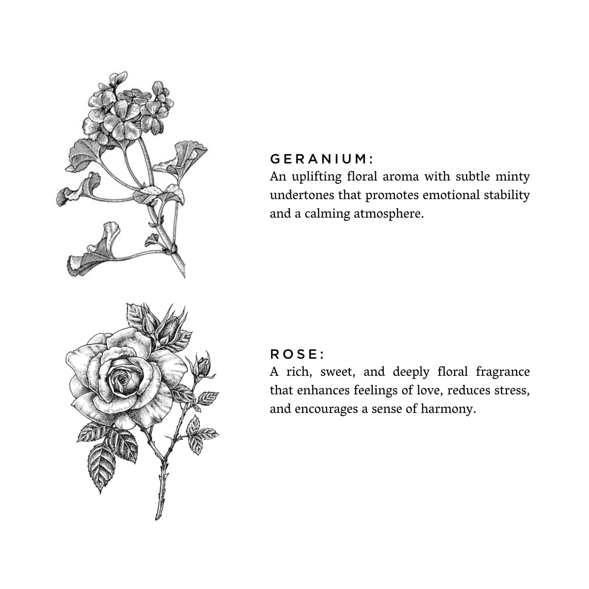 Illustrations of geranium and rose flowers with descriptive text on a white background