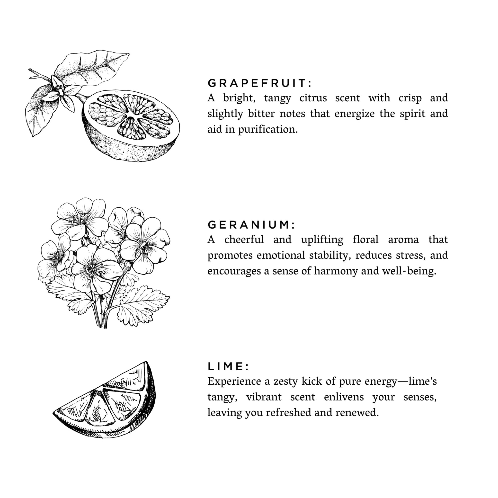 Illustrations of grapefruit, geranium flowers, and lime with descriptive text on a white background.