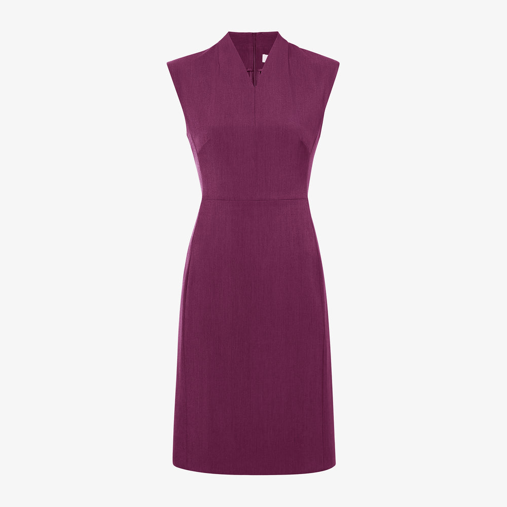 packshot image of the aditi dress in plumberry