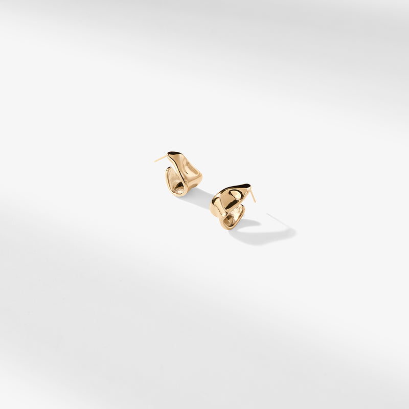 Lewis Earrings