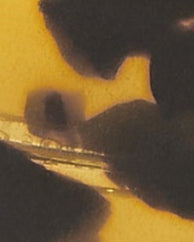 Tortoise Color Swatch 