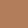 camel color swatch 